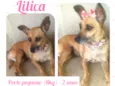 Lilica