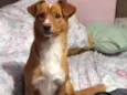 Bilu