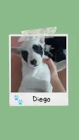 Diego