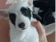 Diego
