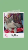 Polly