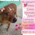 Vitória 
