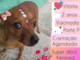 Vitória 