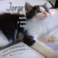 Jorge