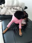 Mel