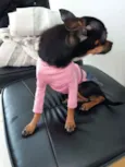 Mel