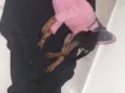 Mel
