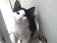 Jack