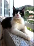 Olaf