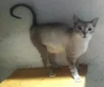 Radija