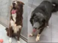 Lunna & Hurley