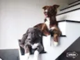 Lunna & Hurley