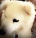 Iuly