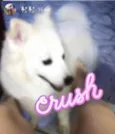 Iuly