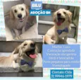 Bilu