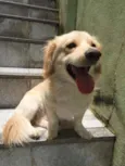 Bilu