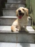 Bilu