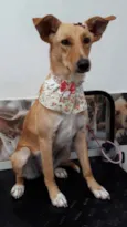KIARA