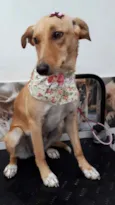 KIARA