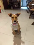 KIARA