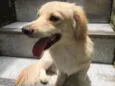 Bilu