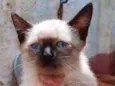 Sem nome