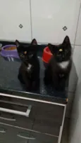 Rica e Número Um