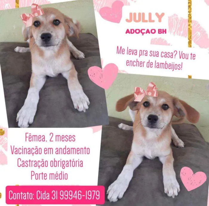 Cachorro raça Srd idade 2 a 6 meses nome Jullie