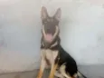 Jack