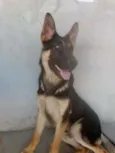 Jack