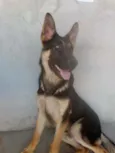 Jack