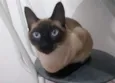 Nana