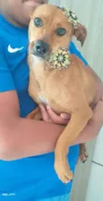 Mel 