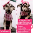 Madalena
