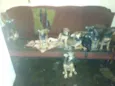 Fred,Rubi,Perola,Mel