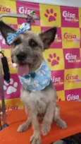 FLOR