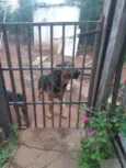 1 ano e.  9 meses