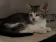 Matias