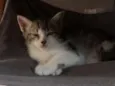 Matias
