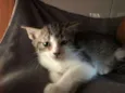 Matias