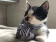 Tim