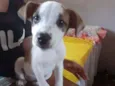 Lua