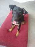 Ralf