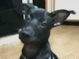 CHOCO