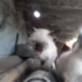 1,2,3,4,5