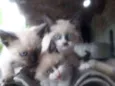 1,2,3,4,5