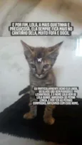 Na descrição 