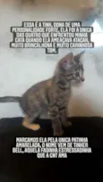 Na descrição 