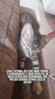 Na descrição 