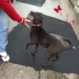 saddan